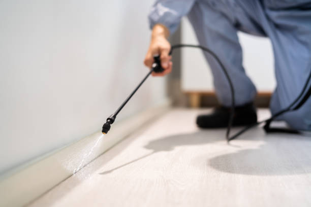 Licensed Pest Control service in Hackleburg, AL - Show Me Pest Control