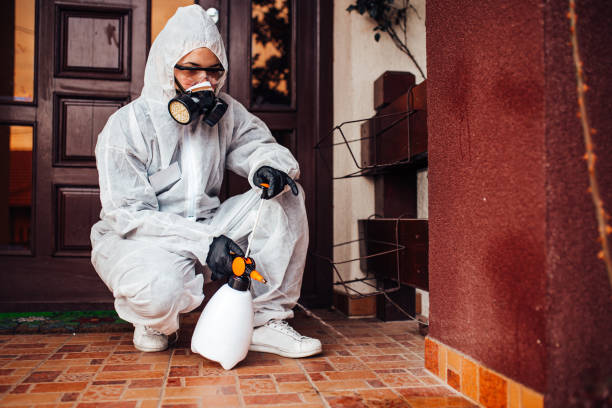Multi-Unit and Airbnb Bed Bug Protocol in Hackleburg