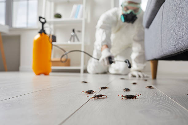 Post-Treatment Bed Bug Interceptor Monitoring in Hackleburg