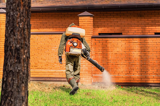 Bed Bug Clearance Verification and Documentation in Hackleburg